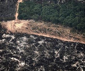 Brazil police deployed to contain land feud