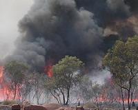 Even in restored forests, extreme weather strongly influences wildfire's impacts