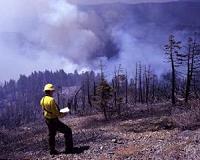 The Interaction of Climate Change, Fire, and Forests in the U.S.