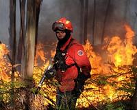Portugal battles raging forest fires
