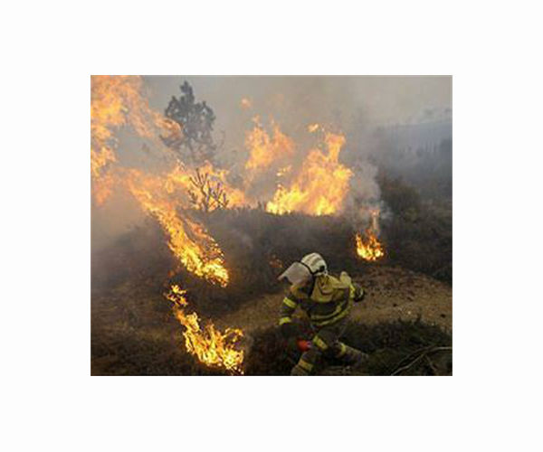 Firefighters bring northeastern Spain blaze under control