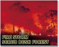 Californians evacuated due to fire