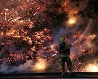 Senior Trump officials survey California fire devastation