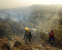 Forest fires rage in Spain, Greece