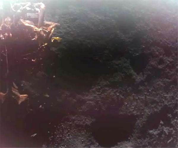 Firefly lands first private US spaceship on the Moon
