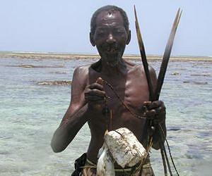 Coral reefs and food security: Study shows nations at risk