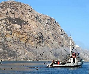 Now in Science: It's not too late for troubled fisheries