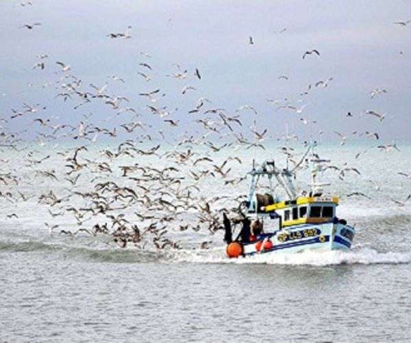 WTO chief hails 'important step' towards elusive fishing deal