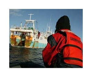 Australia imposes two-year ban on supertrawlers