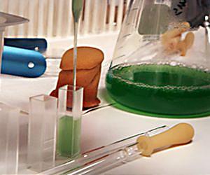 Far-Out Photosynthesis