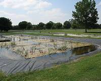 Artificial wetland to clean Shanghai factory water
