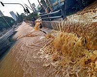 340,000 Flee Deadly Floods In Indonesian Capital Jakarta
