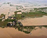 More Filipinos pushed into poverty by Haiyan, high rice prices
