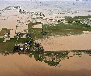 UN supplies seeds for typhoon-hit Philippine farmers