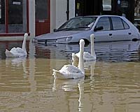 Weather Extremes Hit Europe With Floods And Heatwaves