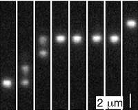 Research pushes concept of entropy out of kilter