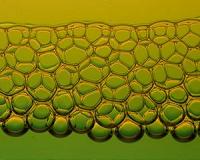 Liquid foam: Plastic, elastic and fluid