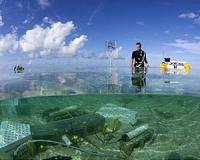 Self-regulating corals protect their skeletons against ocean acidification