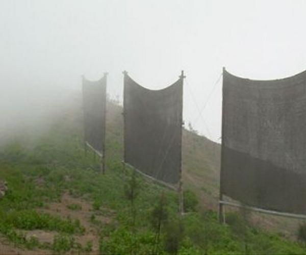Harnessing Fog for Water Supply in the World's Driest Regions