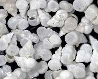 Mystery solved: Ocean acidity in the last mass extinction