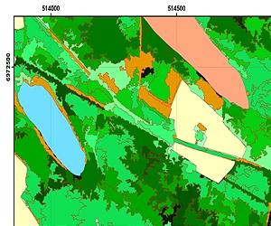 Novel Services For Tropical Forest Monitoring With Satellite