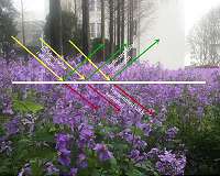 A new parameterization of canopy radiative transfer for land surface radiation models