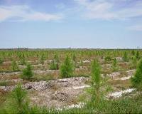 Strongest sinks of carbon are in dynamic landscapes