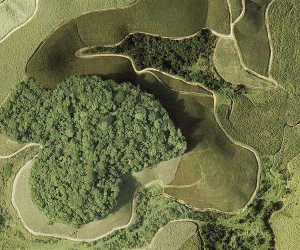 Brazil court rules for Indigenous land rights in key case