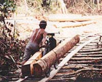 Malaysia to help Indonesia curb forest fires