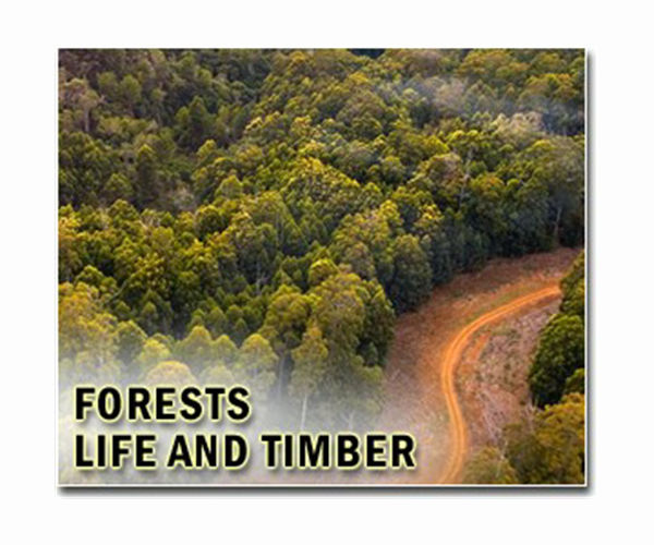 CO2 makes trees live fast and die young: study