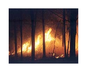 Slash-and-burn a way of life on Indonesia's Sumatra