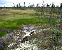 Mineral weathering from thawing permafrost can release substantial CO2