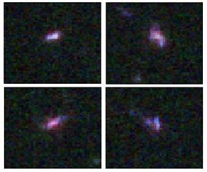 Small distant galaxies host supermassive black holes