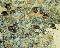 'Nesting doll' minerals offer clues to Earth's mantle dynamics