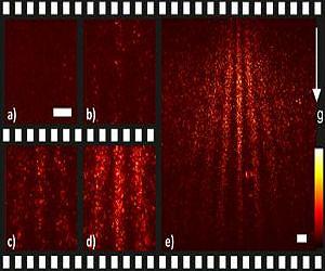 Single molecules in a quantum movie
