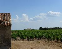 Climate Change Shifting Wine Grape Harvests in France and Switzerland