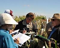 Sorghum: Not so ho-hum