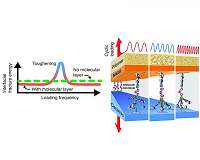 Nanoglue can make composites several times tougher during dynamic loading