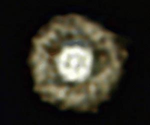Astronomers crack the Fried Egg Nebula