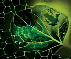 Man-made photosynthesis to revolutionise food and energy production