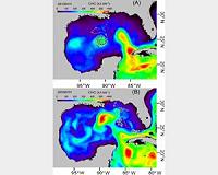 Ocean heat content reveals secrets of fish migration behaviors