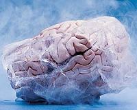 Advances in imaging could deepen knowledge of brain