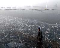 Nearly 50 dead in India cold snap: report