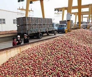 Polishing The Apple's Popular Image As A Healthy Food