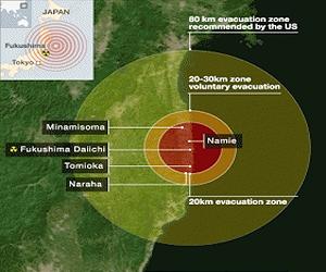 No Fukushima radiation effect on bulls