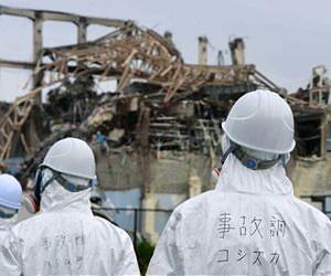 Report faults Fukushima response