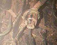 Fukushima operator releases fresh images of reactor wreckage