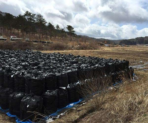 Second round of Fukushima wastewater release begins: operator