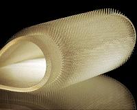 MIT engineers design beaver-inspired wetsuit material
