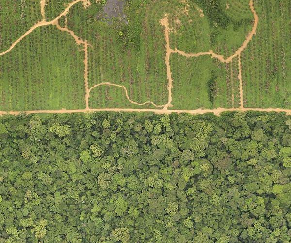 Gabon's national consultation proposes suspending political parties